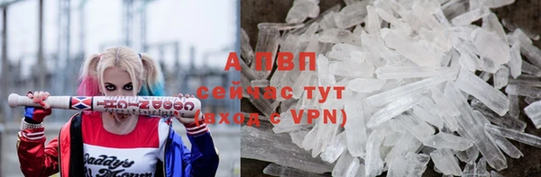стаф Абинск
