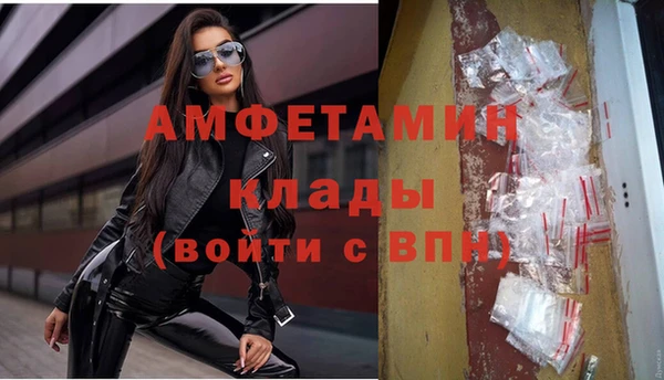 стаф Абинск