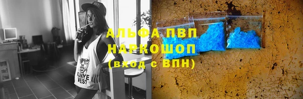 стаф Абинск