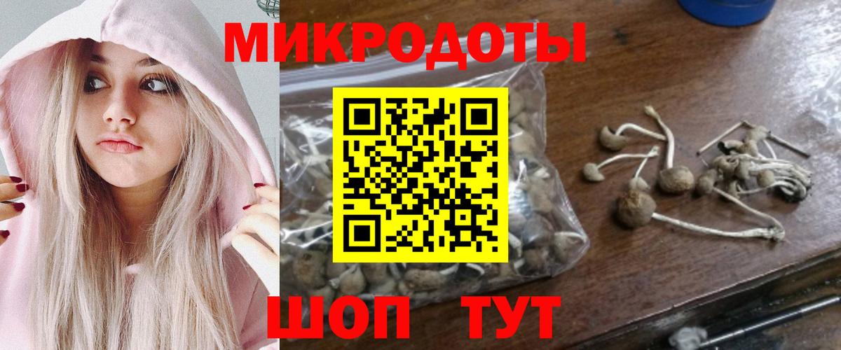 Кимовск  Галлюциногенные грибы мухоморы  Вход с VPN 